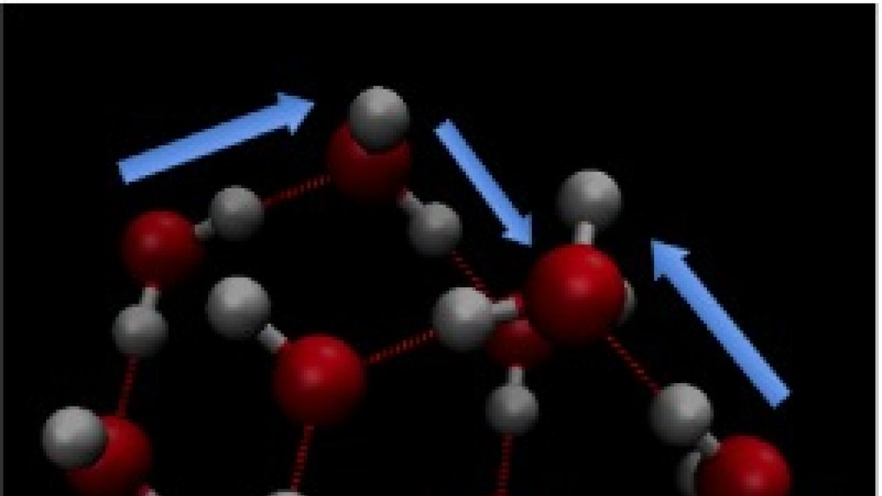 Correlated Tunneling in Hydrogen Bonds